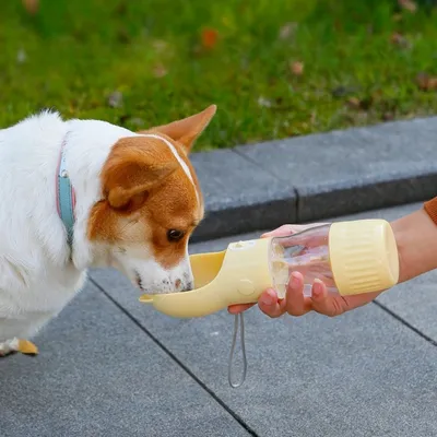 Petopia Deux tasses à eau en une