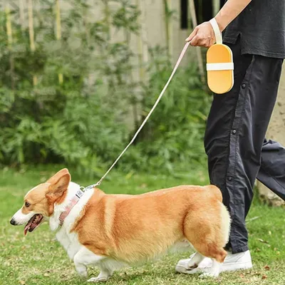 Pet Planet Botella de agua portátil 2 en 1 para perros y gatos
