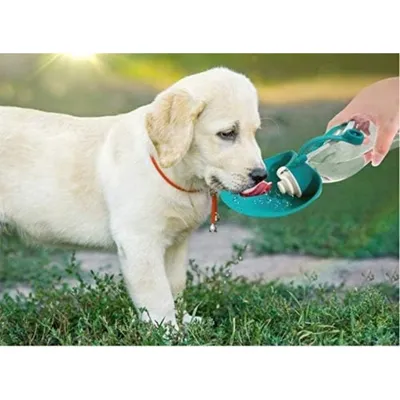Pet Planet Botella de agua para perros con tapa y cuenco, 580 ml