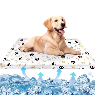 ZenPets Tapis rafraîchissant pour chien et chat - 60x50cm, étanche ZenPets Tapis rafraîchissant pour chien et chat - 60x50cm, étanche