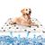 ZenPets Tapis rafraîchissant pour chien et chat - 60x50cm, étanche