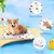 ZenPets Tapis rafraîchissant pour chien et chat - 60x50cm, étanche