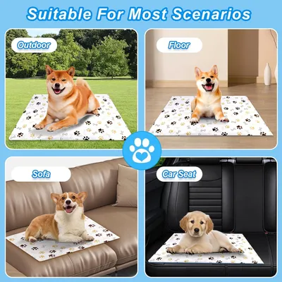 ZenPets Tapis rafraîchissant pour chien et chat - 60x50cm, étanche