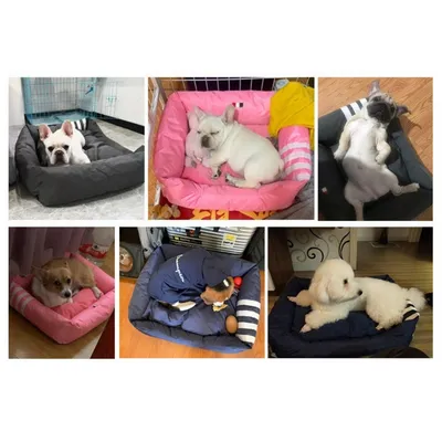 IntiMeg Grand lit pour chien et chat de taille moyenne