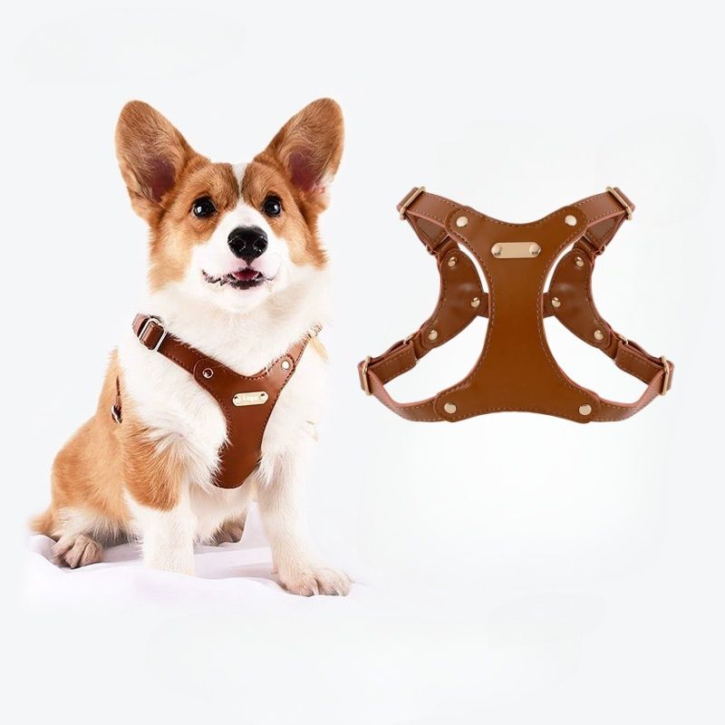 IntiMeg Grand lit pour chien et chat de taille moyenne