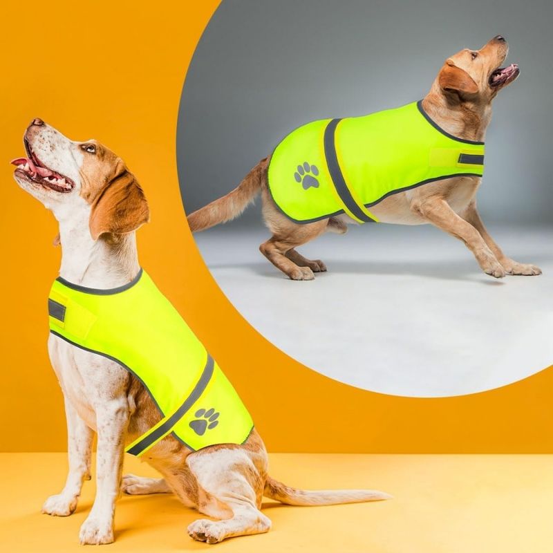 Pet Planet Gilet Réfléchissant Pour Chien Haute Visibilité