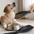 FurryFusion Cuillère pour nourriture pour chien et chat