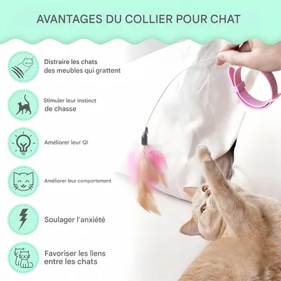 Pet Planet Jouet en collier pour chat avec plume et clochette