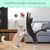 Pet Planet Jouet en collier pour chat avec plume et clochette