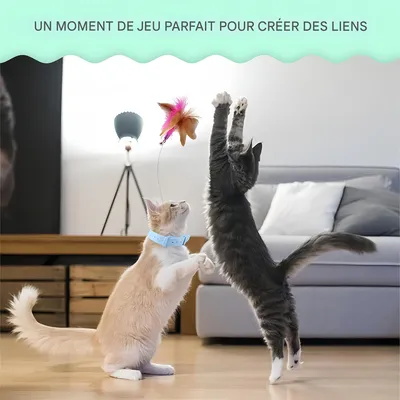 Pet Planet Jouet en collier pour chat avec plume et clochette