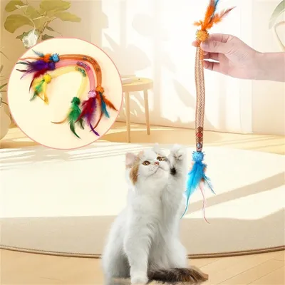 Pet Planet Jouet en corde élastique pour chats