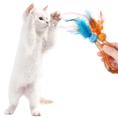 Pet Planet Jouet en corde élastique pour chats