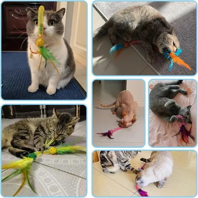 Pet Planet Jouet en corde élastique pour chats