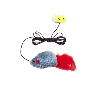 UAMLY Jouets pour chat, souris élastique suspendue au cadre de porte