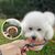 FurryFusion Bol pliable pour chien et chat