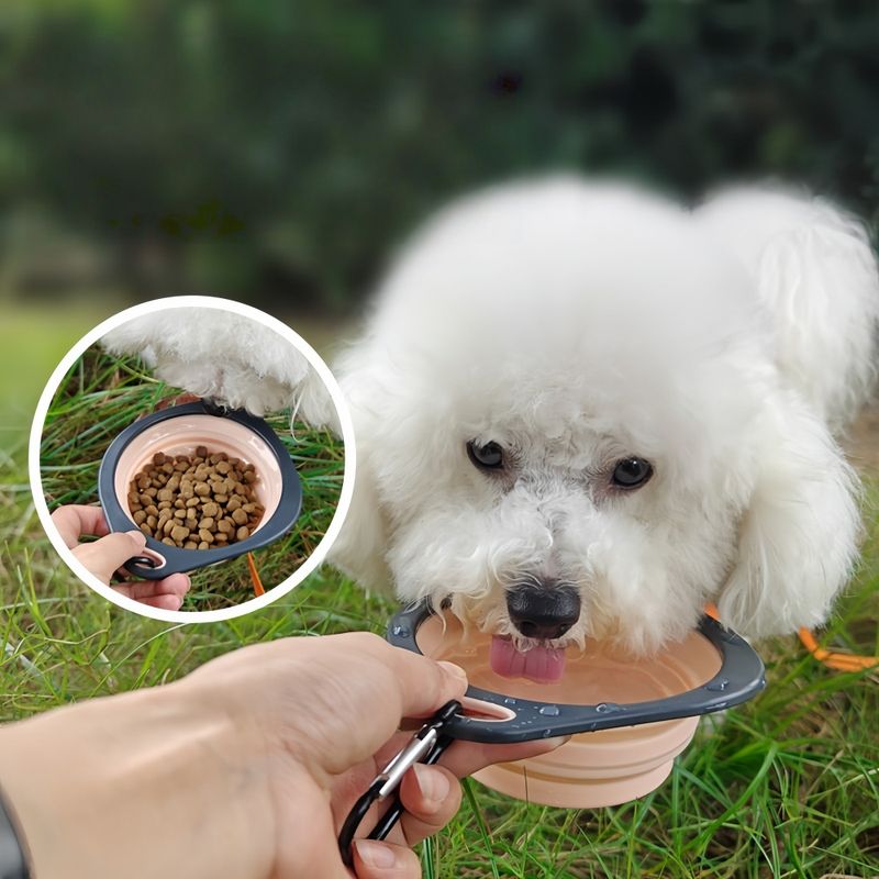 FurryFusion Bol pliable pour chien et chat