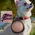 FurryFusion Bol pliable pour chien et chat