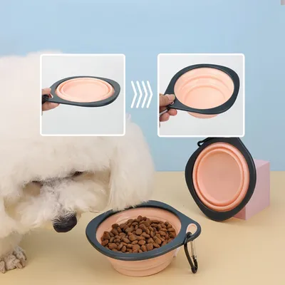 FurryFusion Bol pliable pour chien et chat