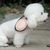FurryFusion Bol pliable pour chien et chat