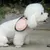 FurryFusion Bol pliable pour chien et chat