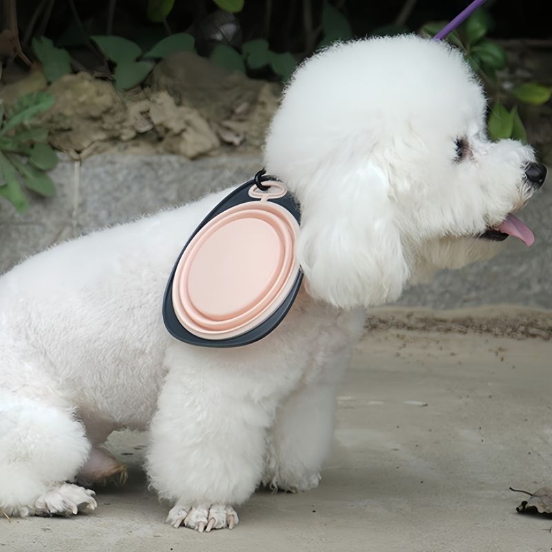 FurryFusion Bol pliable pour chien et chat