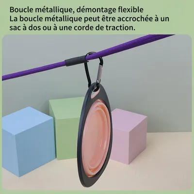 FurryFusion Bol pliable pour chien et chat