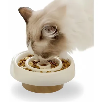 Pet Planet Gamelle pour chat à alimentation lente Pour Chat