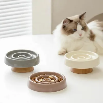 Pet Planet Comedero de alimentación lenta para gatos