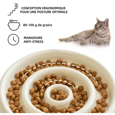 Pet Planet Comedero de alimentación lenta para gatos