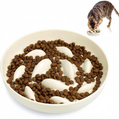Pet Planet Gamelle pour chien à alimentation lente Pour Chien Et Chat