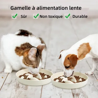 Pet Planet Comedero de alimentación lenta para perros y gatos