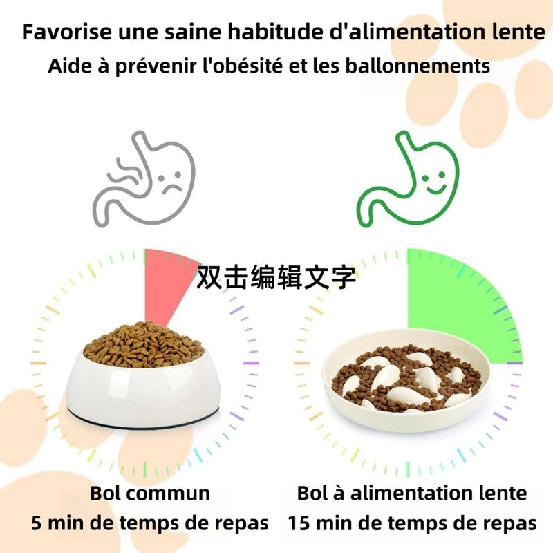 Pet Planet Gamelle pour chien à alimentation lente Pour Chien Et Chat