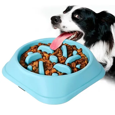 IntiMeg Comedero para perros de alimentación lenta