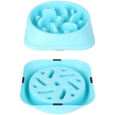 IntiMeg Gamelle anti-glouton pour chien