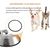 IntiMeg Ensemble de 2 gamelles pour chien et chat