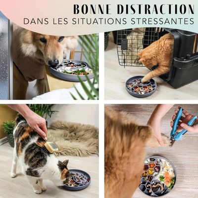 Pet Planet Gamelle pour chien à alimentation lente pour Chien et Chat