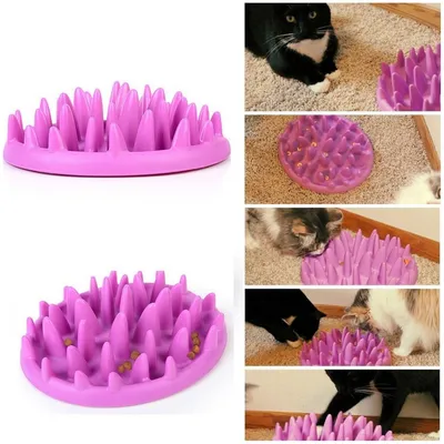 IntiMeg Gamelle anti-glouton pour chien et chat