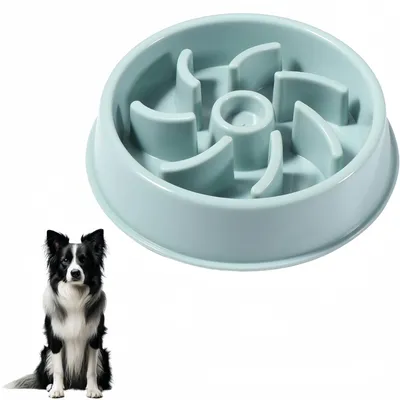 Pet Planet Gamelle pour chien à alimentation lente pour Chien et Chat Pet Planet Gamelle pour chien à alimentation lente pour Chien et Chat