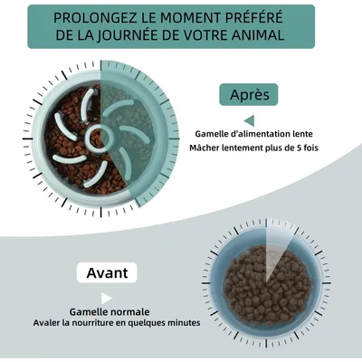 Pet Planet Gamelle pour chien à alimentation lente pour Chien et Chat