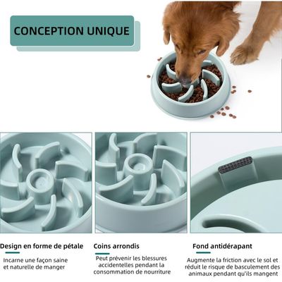 Pet Planet Gamelle pour chien à alimentation lente pour Chien et Chat