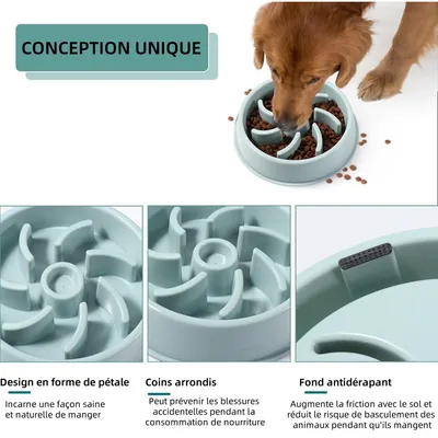 Pet Planet Gamelle pour chien à alimentation lente pour Chien et Chat