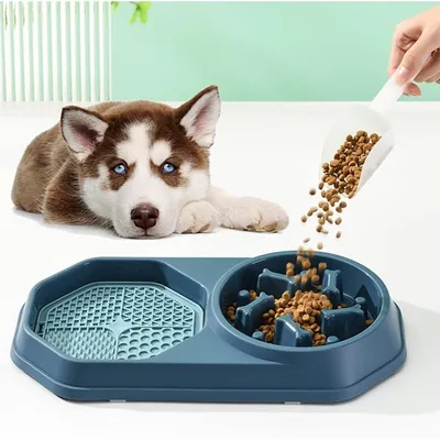 Pet Planet Comedero lento doble con alfombrilla para gatos y perros