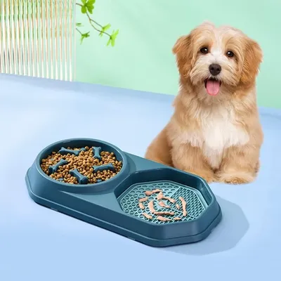 Pet Planet Comedero lento doble con alfombrilla para gatos y perros