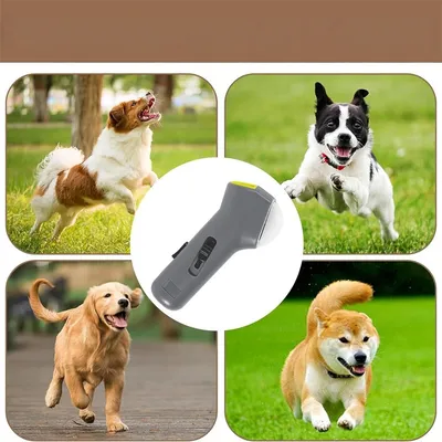 Petopia Distributeur de collations pour entraînement en extérieur