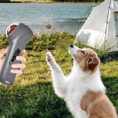 Petopia Distributeur de collations pour entraînement en extérieur