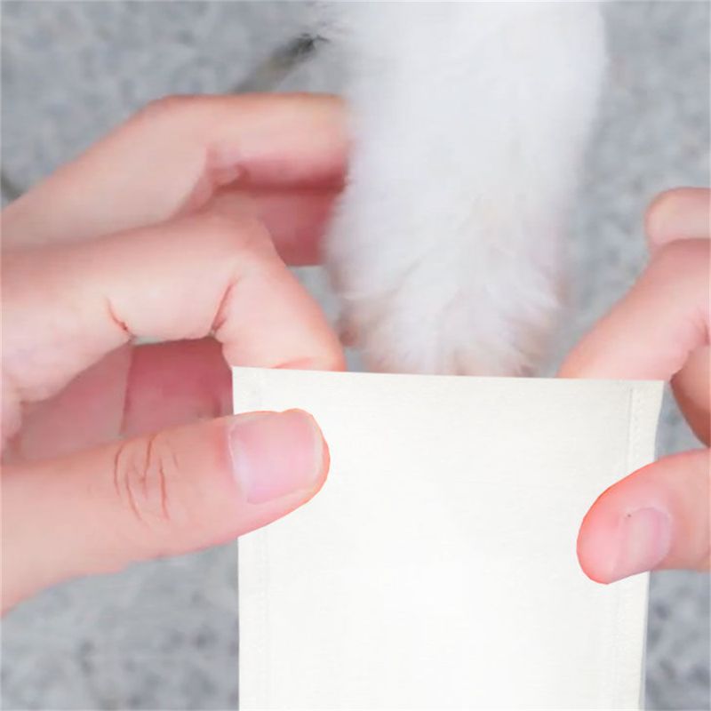 Pet Planet Chaussure de protection jetables pour chiens