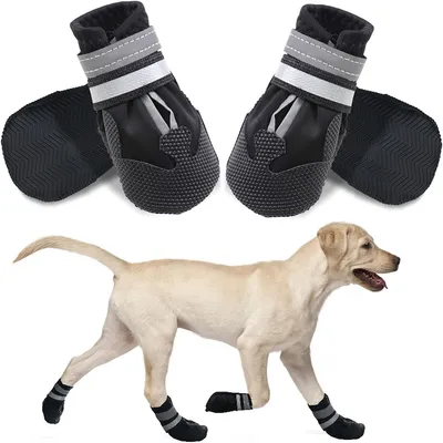 IntiMeg Chaussures de protection pour chien