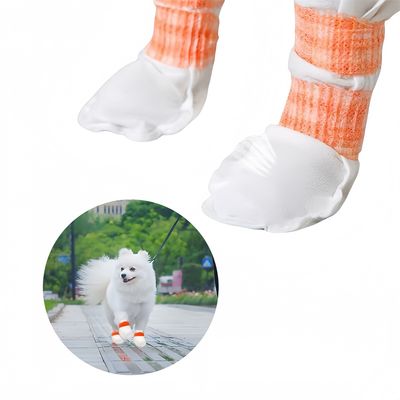 Pet Planet Chaussure de protection jetables pour chiens
