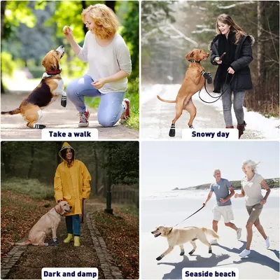 IntiMeg Schutzschuhe für Hunde IntiMeg Schutzschuhe für Hunde