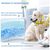 Pet Planet Collier Rafraîchissant Pour Chien 5 X 100 Cm 2 Pièces Plein Air
